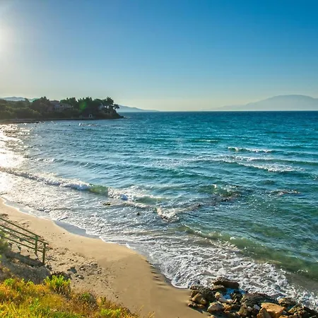 Del Mare *